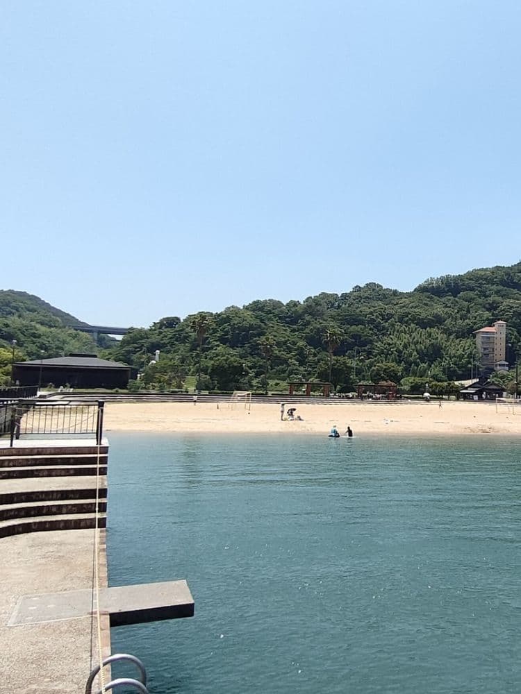 はっさくんの足跡
