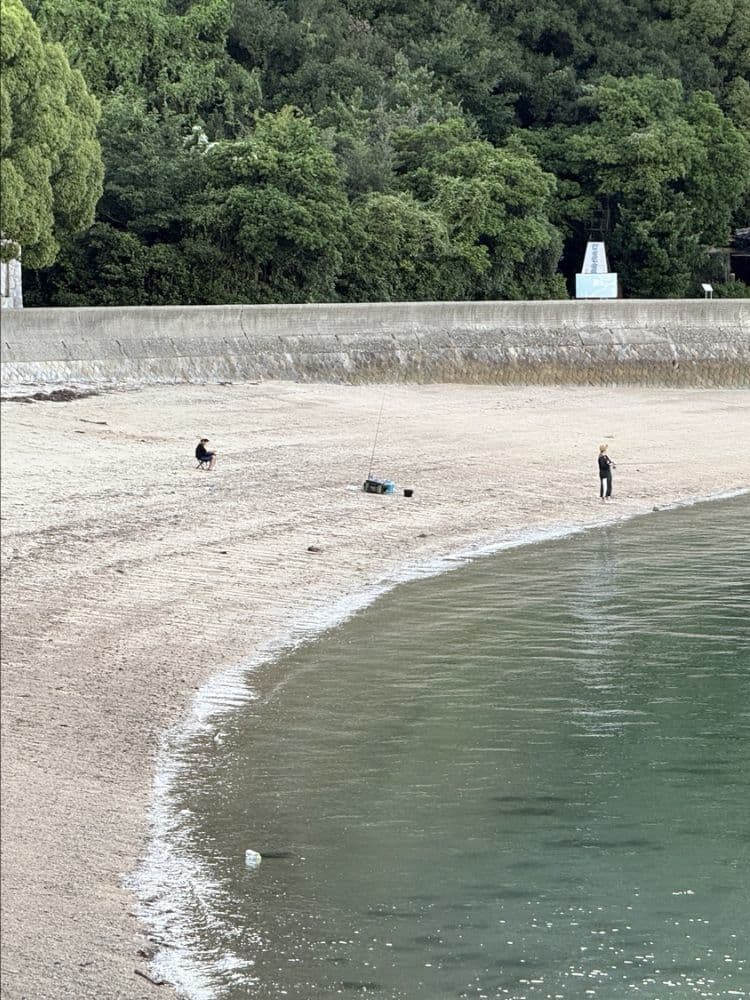 はっさくんの足跡