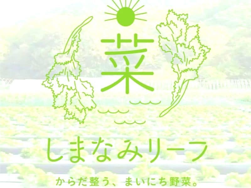 ミチフク